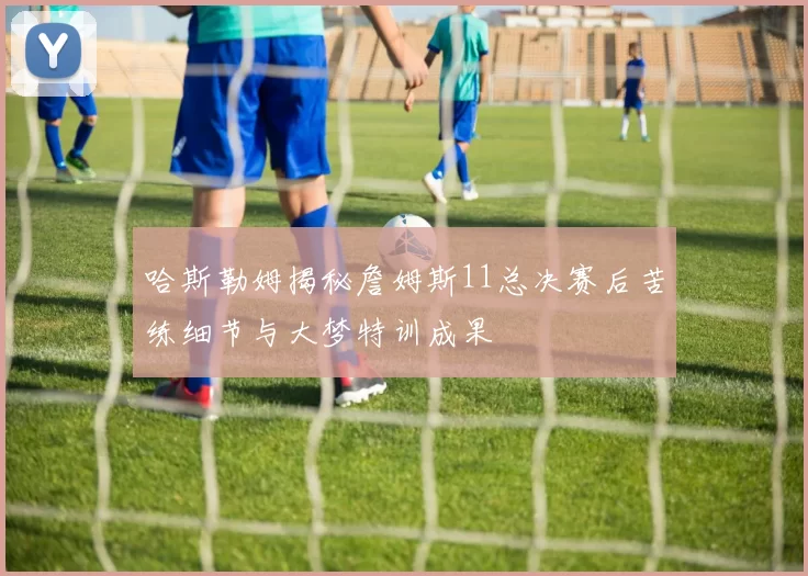 哈斯勒姆揭秘詹姆斯11总决赛后苦练细节与大梦特训成果